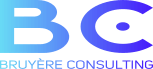 Bruyère Consulting